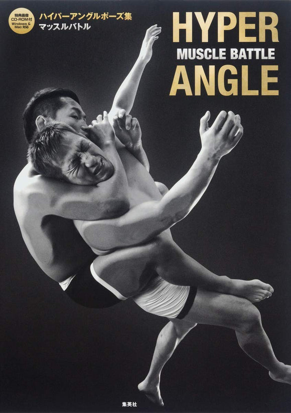 HyperAngle Fighting Pose Photo Reference Book