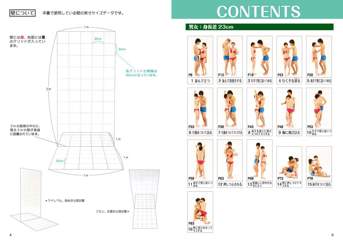 NEW POSE CATALOG 4 WALL POSES LabyrinthBooks