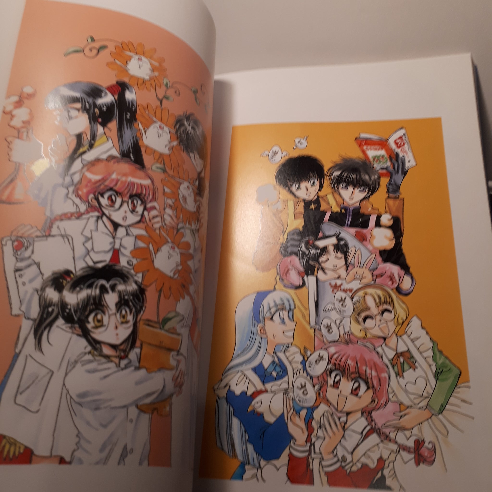 CLAMP North Side out of print Illustration Art Book – LabyrinthBooks