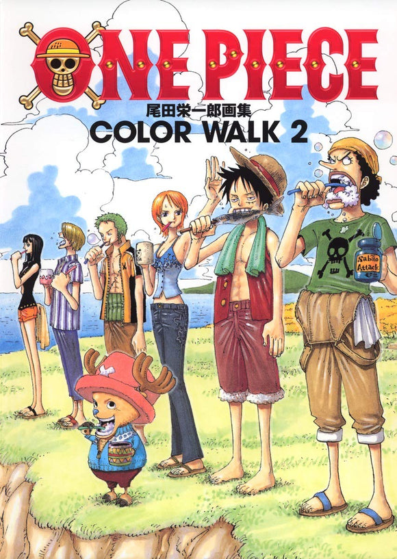 ONE PIECE COLOR WALK 2