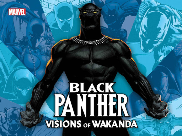 BLACK PANTHER HC VISIONS OF WAKANDA