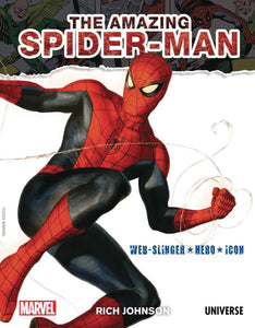 SPIDER-MAN WEB SLINGER HERO ICON HC