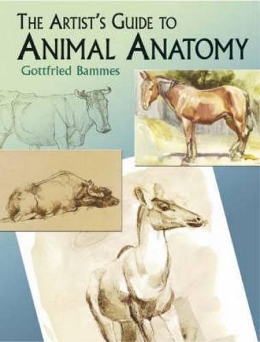ARTISTS GUIDE TO ANIMAL ANATOMY GOTTFRIED BAMMES