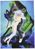 EVANGELION 2.22 YOU CAN (NOT) ADVANCE FULL RECORD COLLECTION VISUAL STORY EDITION