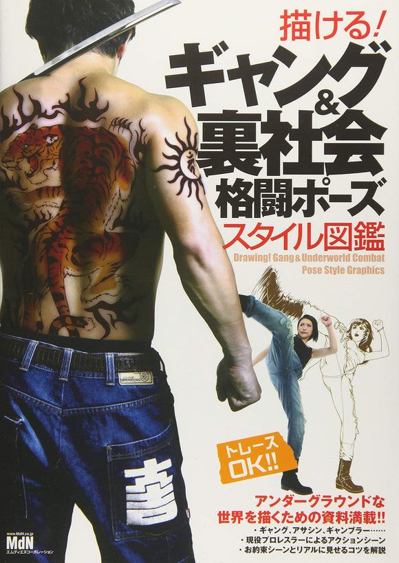 DRAW GANG & UNDERWORLD FIGHTING POSE STYLE PICTURE BOOK HC