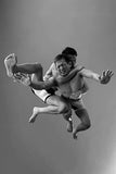 HyperAngle Fighting Pose Photo Reference Book