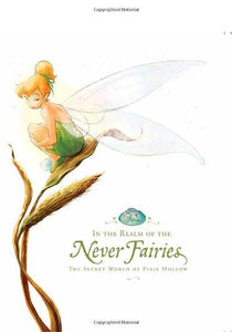 IN THE REALM OF THE NEVER FAIRIES HC