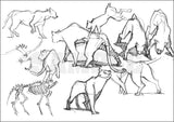Yoh Yoshinari Rough Sketches Art Book